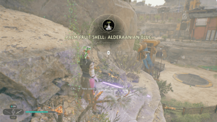 Fallen Order - Palm Fruit Shell In Game Image