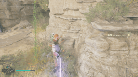 Fallen Order - Palm Fruit Shell In Game Image