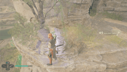 Fallen Order - Palm Fruit Shell In Game Image