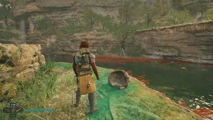 Fallen Order - Turgle