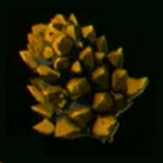 Legend of Zelda TOTK Black Moblin Horn