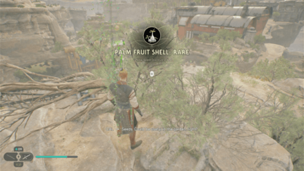 Fallen Order - Palm Fruit Shell In Game Image