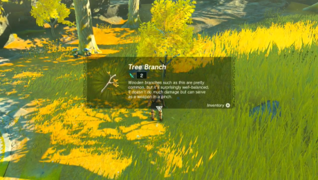 Zelda Tears of the Kingdom TotK - Picking up an Item