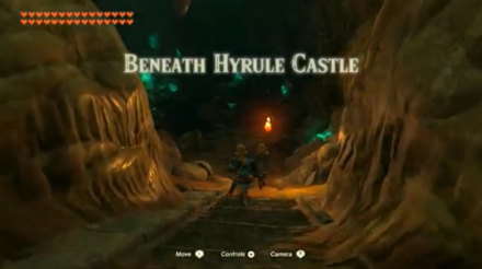 Zelda Tears of the Kingdom TotK Follow Zelda