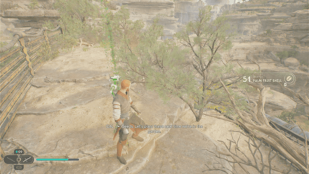 Fallen Order - Palm Fruit Shell In Game Image