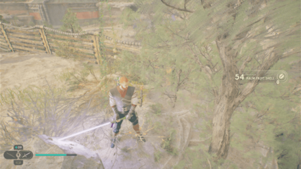 Fallen Order - Palm Fruit Shell In Game Image