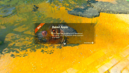 Zelda Tears of the KingdomTotK Roast Food Items.png