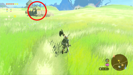 Zelda Tears of the Kingdom (TotK) - Impa