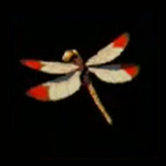 Legend of Zelda TOTK Warm Darner