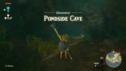 TotK Pondside Cave.png
