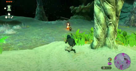 Zelda Tears of the Kingdom TOTK - Robbie in the Depths