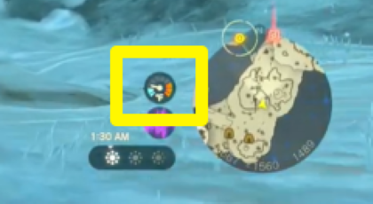 TotK Check The Thermometer.png