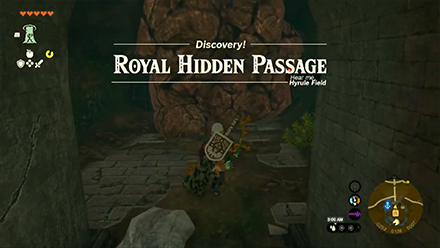 Royal Hidden Passage Entrance Overworld Image