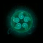 Legend of Zelda TOTK Sage