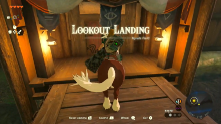TotK Head to Lookout Landing.png