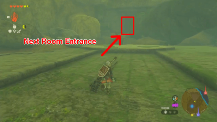 Tears of the Kingdom (TotK) - Room with a Statue