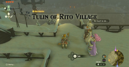 Zelda Tears of the Kingdom TotK - Tulin of Rito Village