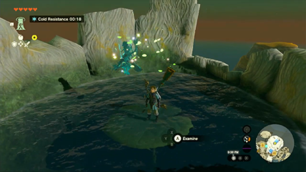 TotK - Korok Seed