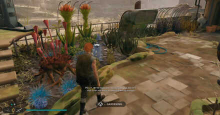 Fill All Garden Plots - Star Wars Jedi Survivor