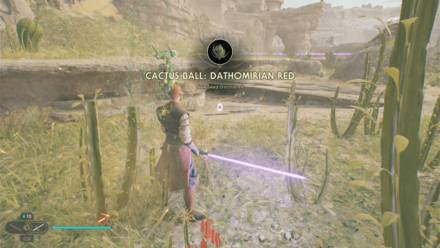 Fallen Order - Cactus Ball In Game Image