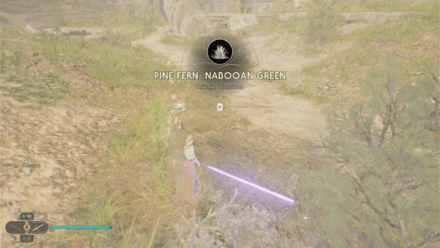 Fallen Order - Pine Fern In Game Image