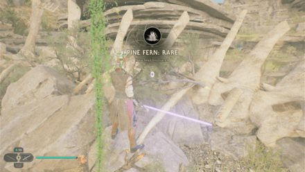 Fallen Order - Pine Fern In Game Image