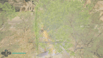 Fallen Order - Pine Fern In Game Image