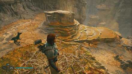 Fallen Order - The Wheel Turns In Game Image