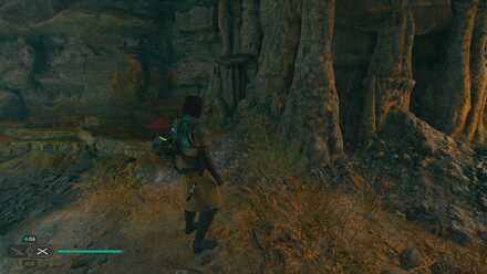 Fallen Order - Turgle, Saved In Game Image