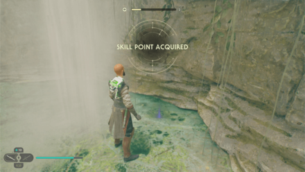 Fallen Order - Skill Point In Game Image