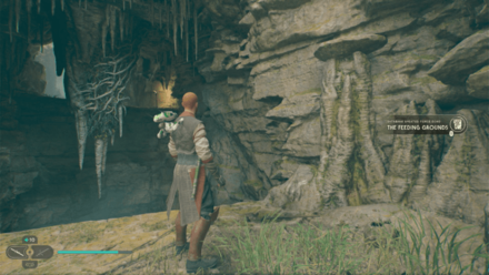 Fallen Order - The Feeding Grounds In Game Image