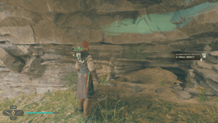 Fallen Order - A Small Mercy In Game Image