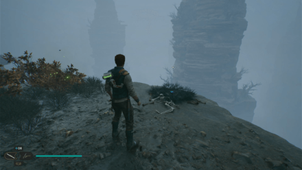 Fallen Order - Priorite Shard In Game Image