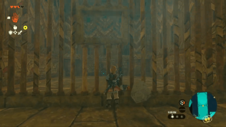 Tears of the Kingdom TOTK - Wind Temple 5th Chest 3