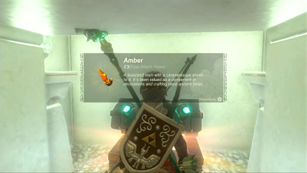Zelda TotK Kikakin Shrine Amber