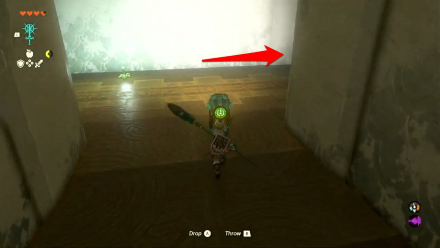 Zelda TotK Kikakin Shrine Ledge Hallway