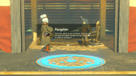 Zelda TotK - Obtain the Paraglider