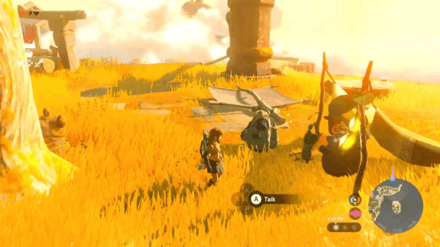 TotK - Korok Seed x2