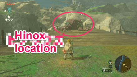 Zelda TotK - Watch out for the Hinox at the bridge