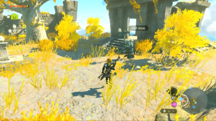 TOTK - Glide Shirt Location