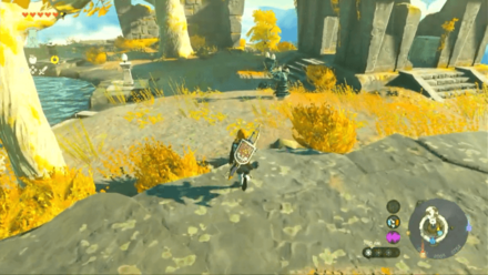 TOTK - Glide Tights Location