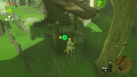 TOTK - Well-Worn Hair Band Location