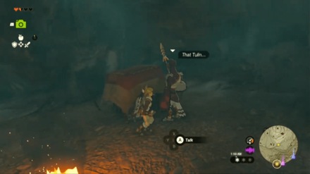 Zelda Tears of the Kingdom (TotK) - Talk to Gesane