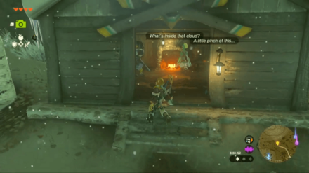 Zelda Tears of the Kingdom (TotK) - Look for Harth