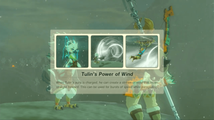 Zelda Tears of the Kingdom (TotK) - Tulin