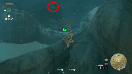 Zelda Tears of the Kingdom (TotK) - Lone Cedar Tree