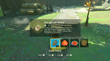 Zelda TotK - Obtain Exclusive Weapons and Armor
