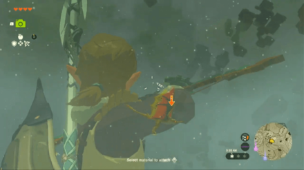 Zelda Tears of the Kingdom (TotK) - Attack Flying Monster