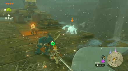 Zelda Tears of the Kingdom (TotK) - Defeat Enemies