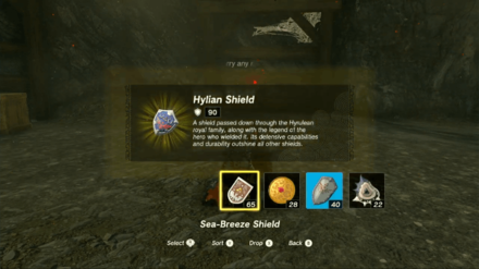 Zelda TotK - Get the Hylian Shield at Hyrule Castle